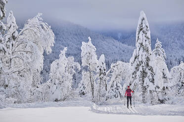 Weibliche Forscherin beim Skifahren gegen verschneite Bäume im Wald - MRF02474
