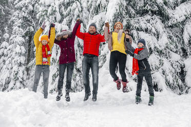 Familie hält sich beim Springen im Wald an den Händen - OGF00804