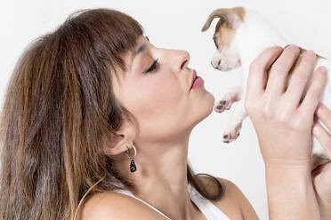 Schöne Frau hält Chihuahua-Welpe vor weißem Hintergrund - GGGF00925