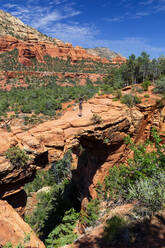 Mature male hiker on Devil's Bridge Trailhead during sunny day, Sedona, Arizona, USA - NDF01231