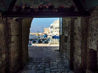 Hafen durch den Tunnel in Monopoli, Apulien, Italien - AMF09025