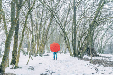 Reifer männlicher Entdecker mit rotem Regenschirm auf Schneefeld im Wald stehend - IFRF00356