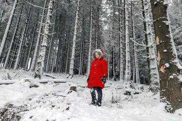 Kleines Mädchen in roter Jacke steht auf schneebedecktem Land im Wald - OGF00838