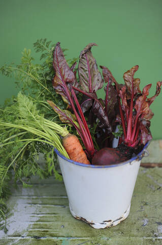 Eimer mit frisch geernteten Möhren, Mangold und Rote Bete, lizenzfreies Stockfoto