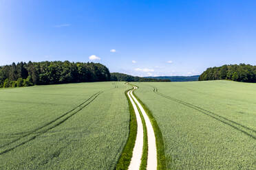 Aerial view of dirt road cutting through green wheat field in summer - AMF09043