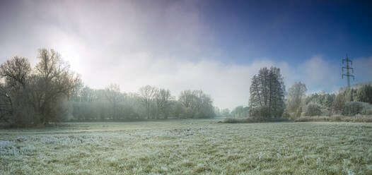 Grünes Land gegen den Himmel im Winter - BIGF00099