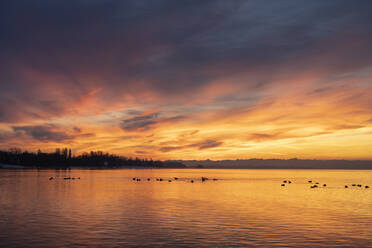 Langzeitbelichtung des Bodensees bei bewölktem Sonnenaufgang - ELF02353