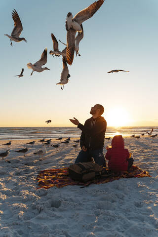 Seagulls flying over father and daughter at Siesta Key Beach during sunset stock photo