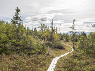 Pathway amidst forest against cloudy sky at Sweden - HUSF00191