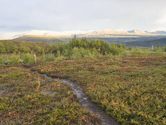 Pfad inmitten eines Tundra-Feldes gegen Berge in Jamtland, Schweden - HUSF00195