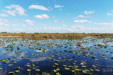 Feuchtgebiet gegen Himmel im Everglades National Park - GEMF04610