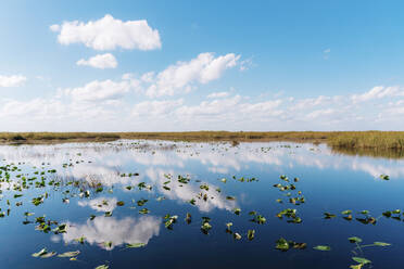 Reflection of clouds in lake at Everglades National Park - GEMF04611