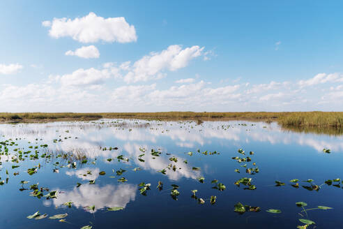 Spiegelung der Wolken im See im Everglades National Park - GEMF04611