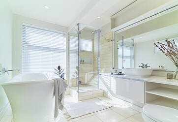 Sunny bright white home showcase interior bathroom - CAIF30299