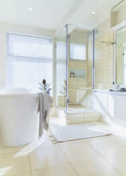 Modern sunny home showcase interior bathroom with soaking tub - CAIF30302