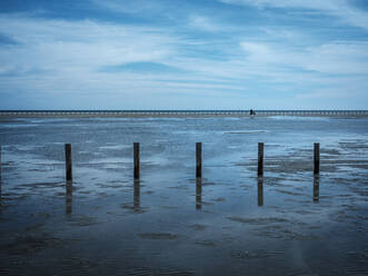 Groyne entlang der Rhone - HAMF00800