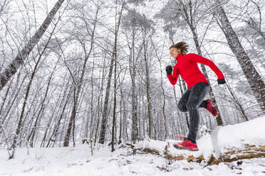 Junge Sportlerin springt über einen schneebedeckten umgestürzten Baum im Wald - STSF02809