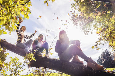 Friends enjoying while sitting on tree at countryside - DHEF00528