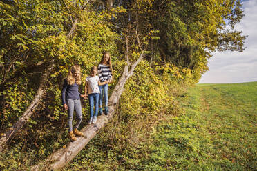 Friends holding hands while climbing on fallen tree at countryside - DHEF00529