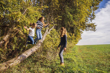 Girls holding hands while jumping from tree by friend standing at farm - DHEF00530