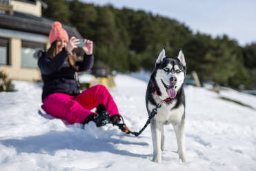 Frau fotografiert mit dem Handy, während sie neben einem Siberian Husky auf einem schneebedeckten Feld im Winter sitzt - OCMF02034