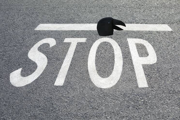 Crow mask at STOP sign on road - PSTF00791