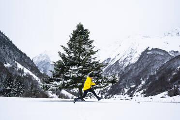 Mann springt von Baum auf verschneites Tal - DAMF00685