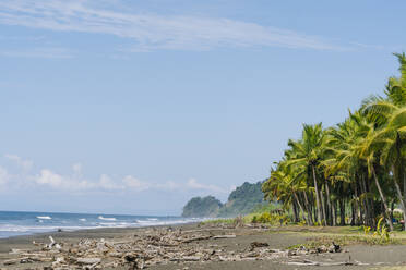 Costa Rica, Jaco, Palmen am Sandstrand - OCMF02040