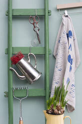 Green ladder, pair of old scissors, sieve, potato masher, two jugs, planted daffodil bulbs and coathanger with dish towel covered in various prints - GISF00758