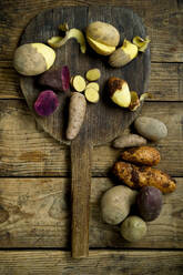 Different types of potatoes: Glorietta, purple sweet potato, Agria, Annabelle, Bamberger Hoerndl, Gala on rustic wooden background - ASF06711