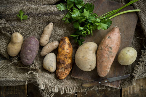 Different types of potatoes: Glorietta, purple sweet potato, Agria, Annabelle, Bamberger Hoerndl, Gala on rustic fabric background - ASF06713