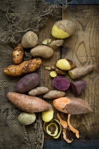 Verschiedene Kartoffelsorten: Glorietta, violette Süßkartoffel, Agria, Annabelle, Bamberger Hörndl, Gala auf rustikalem Hintergrund - ASF06715