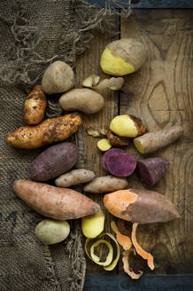 Different types of potatoes: Glorietta, purple sweet potato, Agria, Annabelle, Bamberger Hoerndl, Gala on rustic background - ASF06715