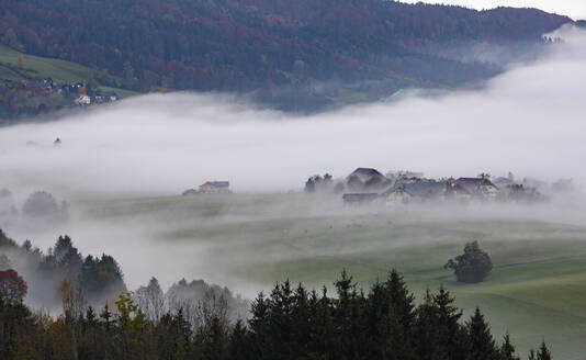 Dorf in dichten Nebel gehüllt - WWF05753