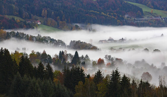 Dorf in dichten Nebel gehüllt - WWF05754