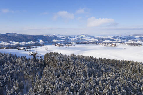 Drohnenansicht eines Fichtenwaldes im Winter mit Irrsee und Bauernhöfen im Hintergrund - WWF05757