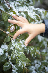 Girl touching snow on leaf during winter - IFRF00362