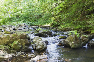 River flowing through rock in forest - GWF06879