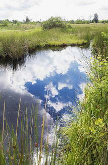 Spiegelung der Wolken auf dem Wasser im Naturpark Hohes Venn - GWF06885