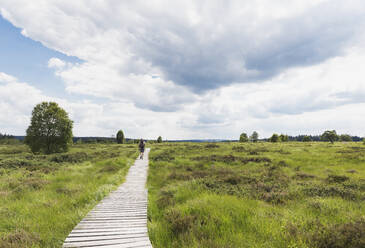 Male hiker exploring through boardwalk in High Fens Nature Park - GWF06887