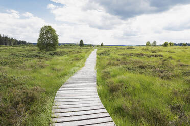 Mann geht auf der Promenade gegen den Himmel im Naturpark Hohes Venn - GWF06888