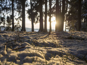 Wald auf schneebedecktem Feld gegen den Himmel bei Sonnenuntergang - HUSF00218