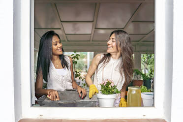 Smiling female friends looking at each other while planting flowers - GGGF00928