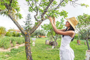 Mid adult woman with hat gardening in backyard during weekend - GGGF00941