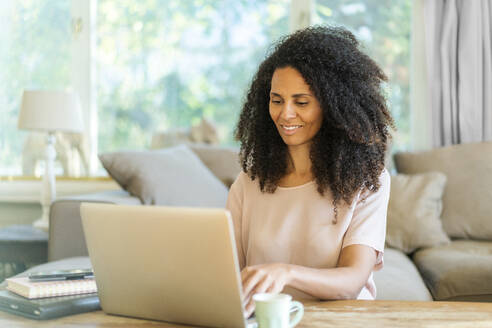 Female businesswoman working on laptop while sitting in living room at home - AKLF00021