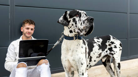 Male freelancer sitting on street with Great Dane dog and working on remote project via laptop - ADSF20617