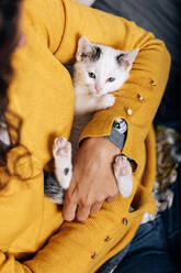 Von oben der Ernte anonyme weibliche Besitzer umarmt und streichelt niedlichen Kätzchen während der Ruhe zu Hause - ADSF20627