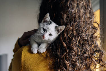 Niedliche kleine weiß getupfte Katze, die sich zu Hause auf der Schulter einer nicht erkennbaren Besitzerin ausruht - ADSF20629