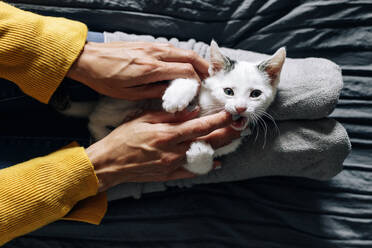 Draufsicht auf anonyme Frau in Freizeitkleidung, die mit einem süßen weißen Kätzchen spielt, während sie auf einem gemütlichen Bett zu Hause ruht - ADSF20630
