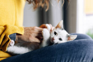 Side view of crop anonymous female owner embracing and stroking cute kitty while resting at home - ADSF20631